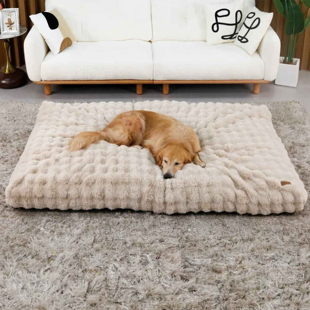 Ultra Plush Cushion Bed