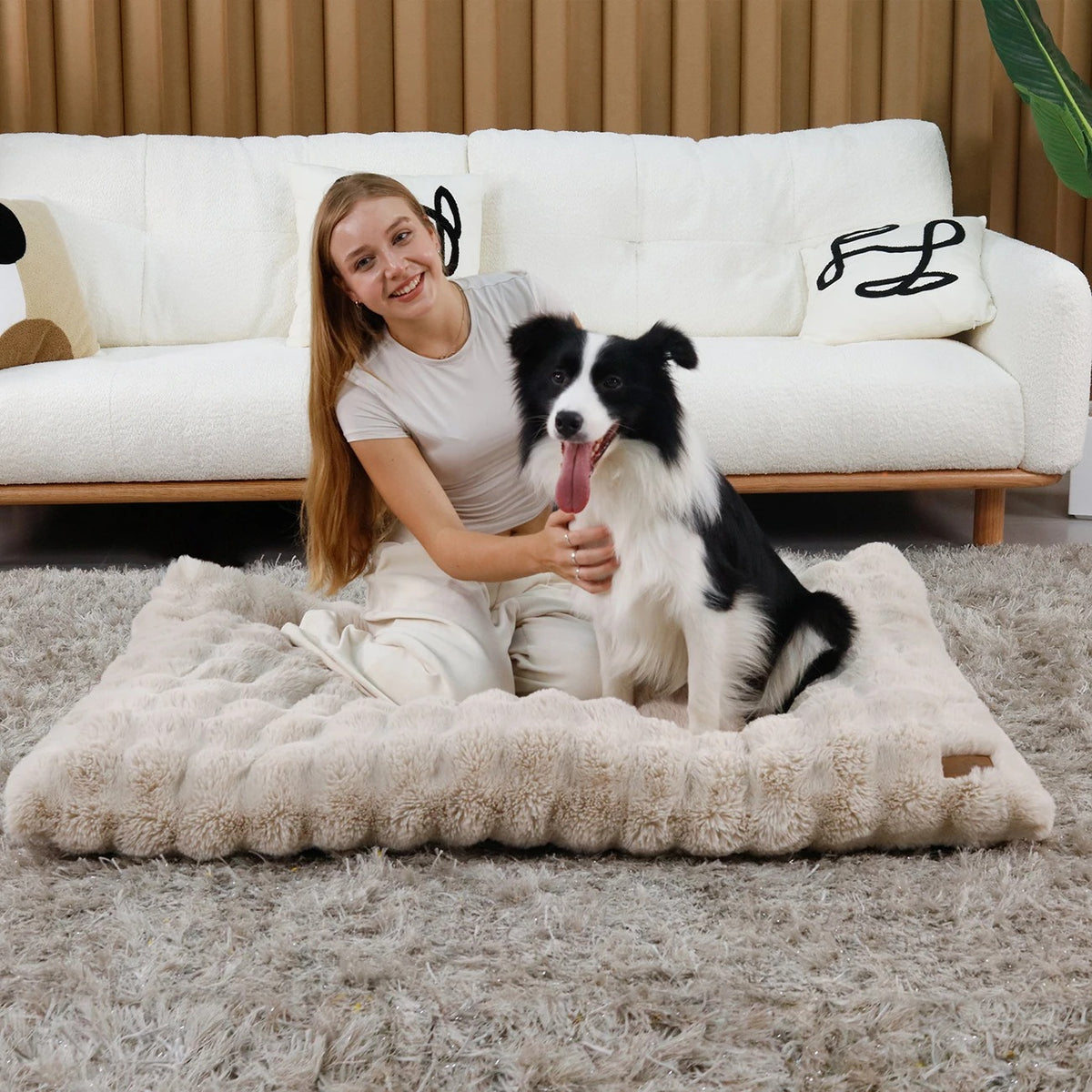 Ultra Plush Cushion Bed