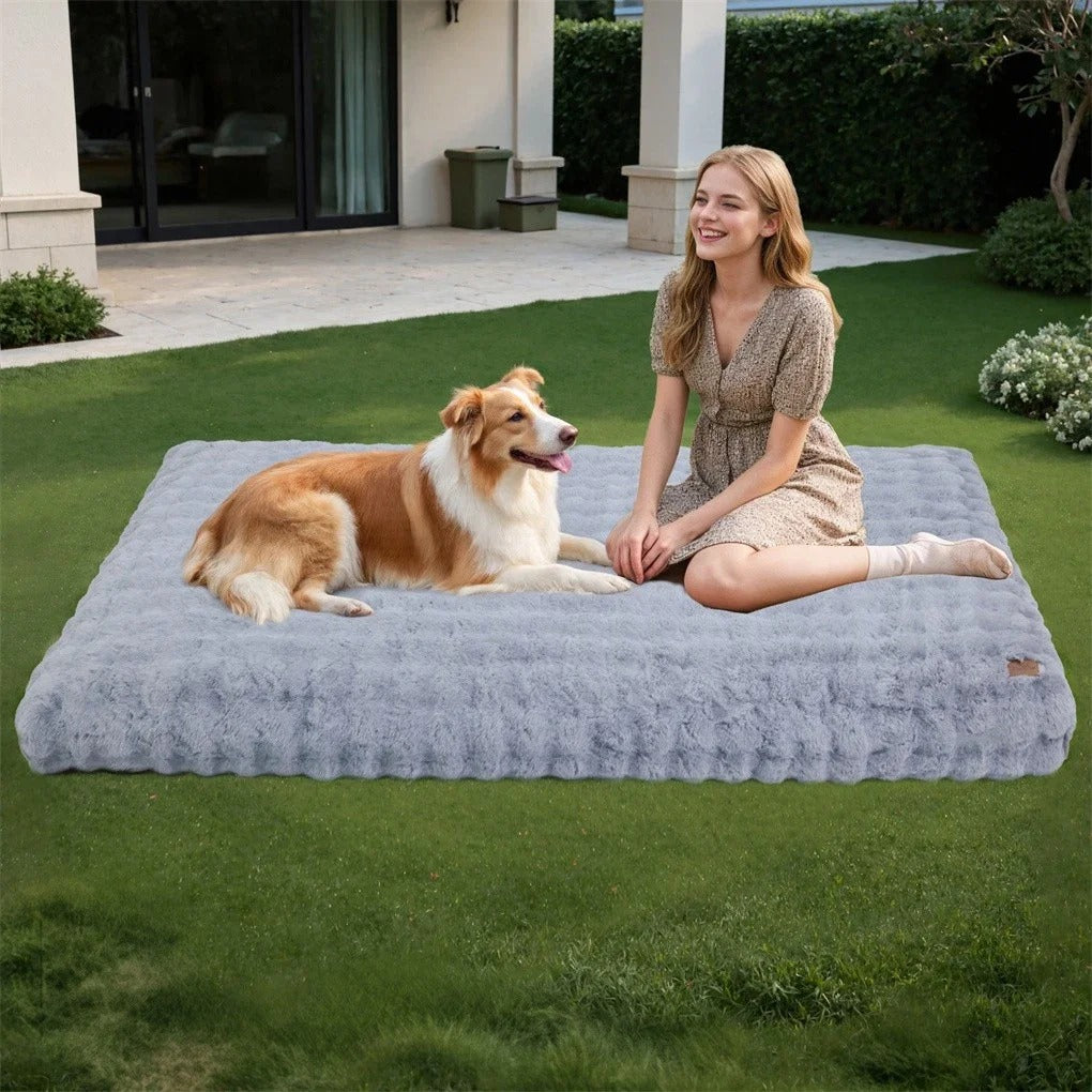 Ultra Plush Cushion Bed