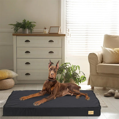 Orthopedic Bed with Cover