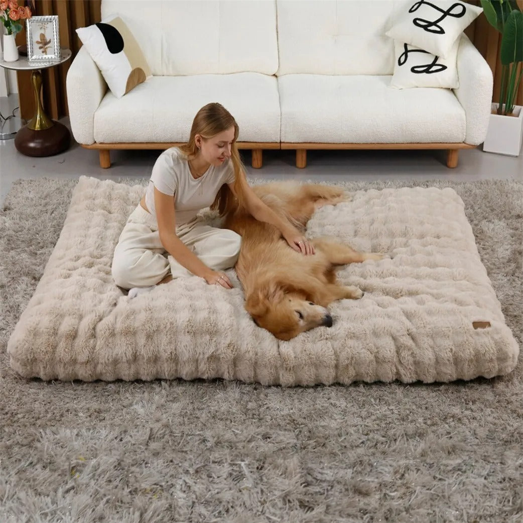 Ultra Plush Cushion Bed