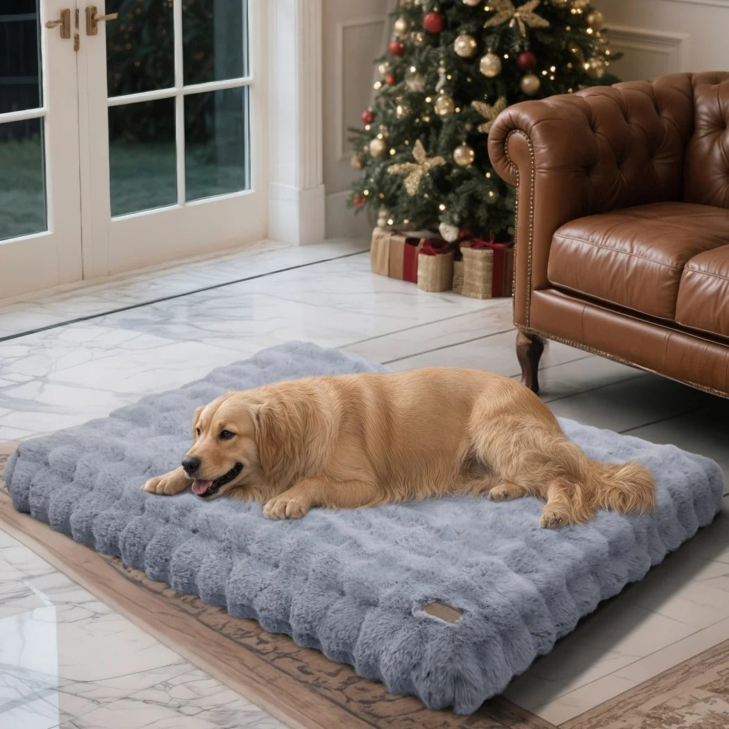 Ultra Plush Cushion Bed