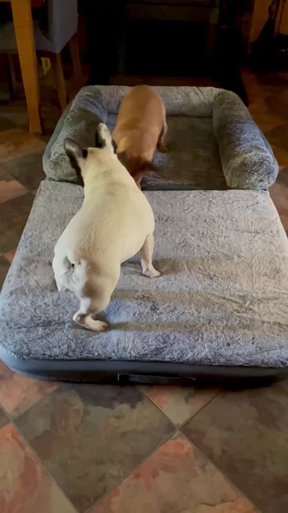 Foldable Dog Bed